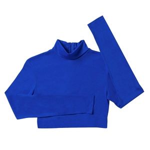 Blue Cheer long sleeve crop top turtleneck